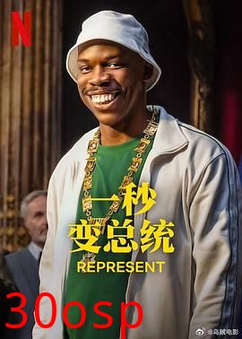 一秒变总统第二季