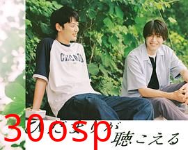 向阳之处必有声