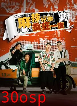 麻辣兄弟之疯狂一夜