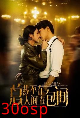 总裁不在人间在包间