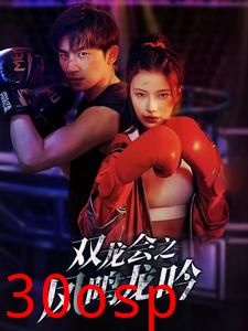 双龙会之凤鸣龙吟