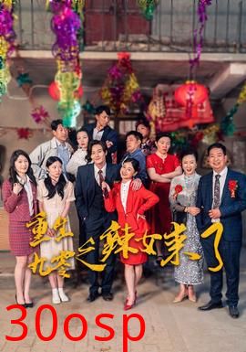 重生九零之辣女来了