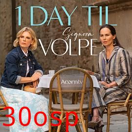 狐狸女士第二季