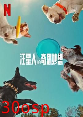 汪星人的奇思妙想