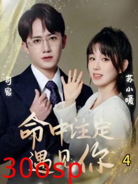 命中注定遇见你短剧