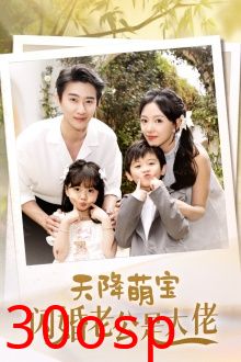 天降萌宝闪婚老公是大佬