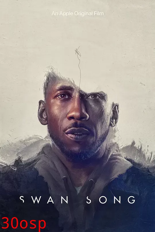 天鹅挽歌【影视解说】