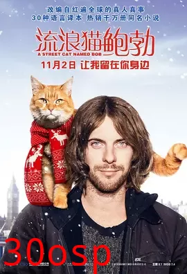 流浪猫鲍勃【影视解说】