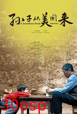孙子从美国来【影视解说】