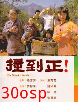 撞到正(剧情解说）