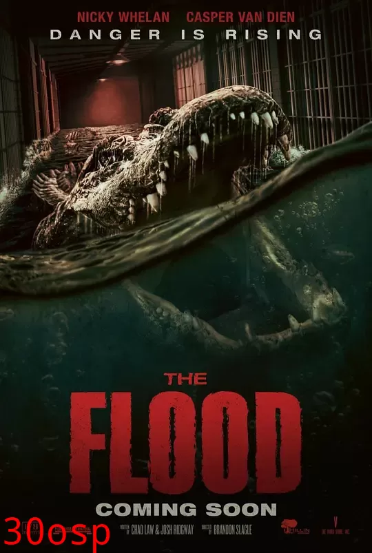 致命洪灾【影视解说】