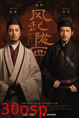 风起陇西(剧情解说）