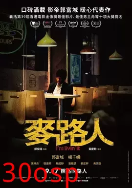 麦路人【影视解说】