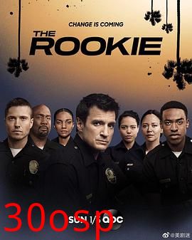 菜鸟老警第三季
