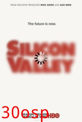 硅谷第五季