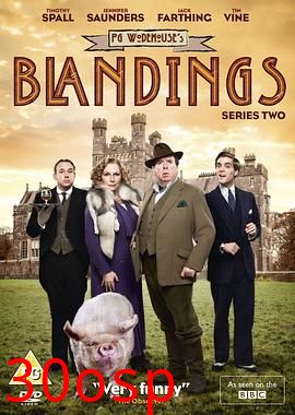 布兰丁斯城堡第二季