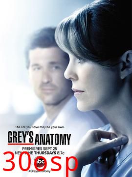 实习医生格蕾第十一季