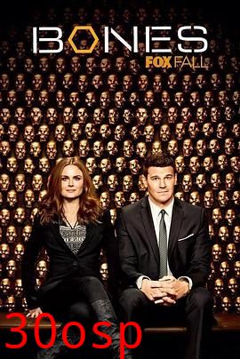 识骨寻踪第九季