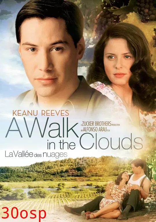 漫步在云端【影视解说】