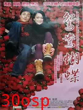 鸳鸯蝴蝶【影视解说】