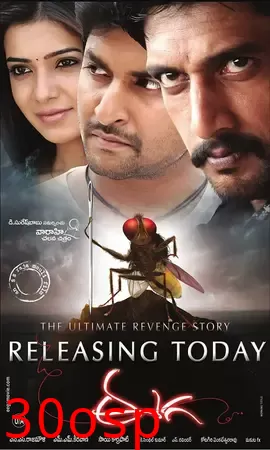 功夫小蝇【影视解说】