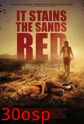 血染黄沙【影视解说】