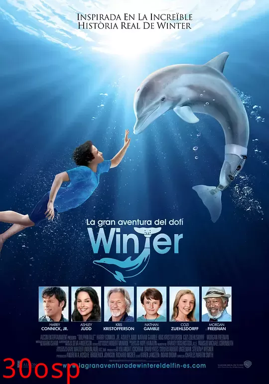 海豚的故事【影视解说】