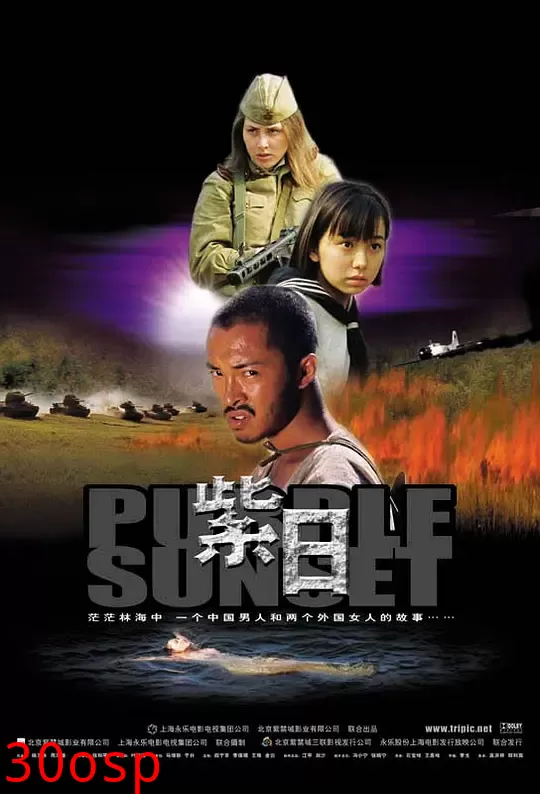 紫日【影视解说】