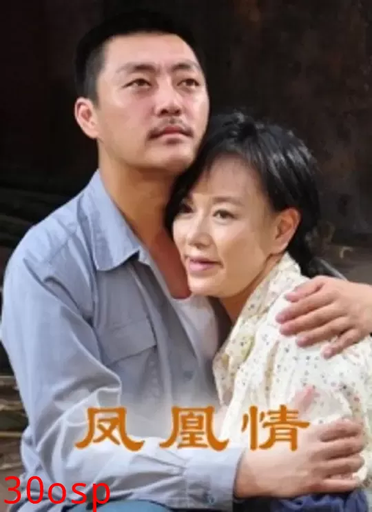 凤凰情【影视解说】