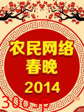 农民网络春晚 2014
