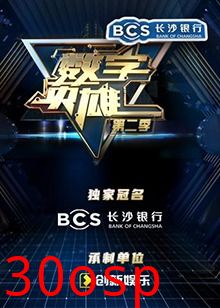 数字英雄第二季