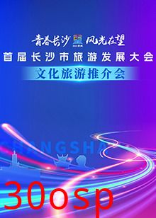 首届长沙市旅游发展大会文化旅游推介会