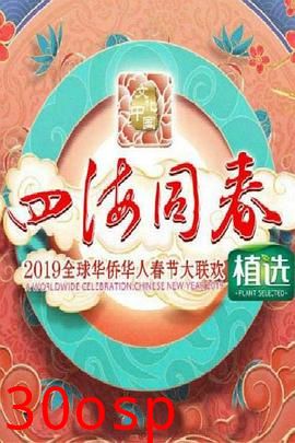 2019湖南卫视全球华侨华人春晚