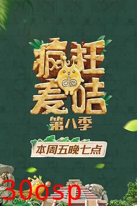 疯狂的麦咭第八季