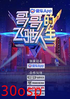 哥哥的飞驰人生