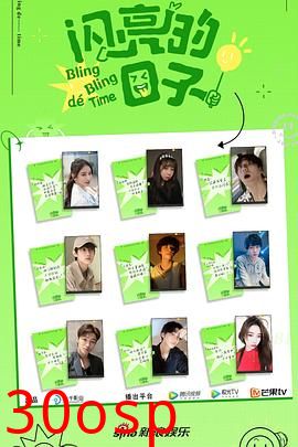 闪亮的日子第二季