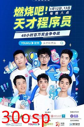 燃烧吧！天才程序员