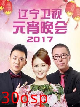 辽宁卫视元宵晚会 2017