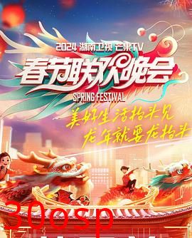 2024湖南卫视芒果TV春节联欢晚会