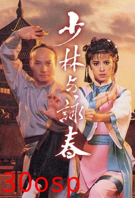 少林与咏春粤语