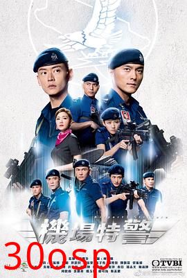 机场特警国语