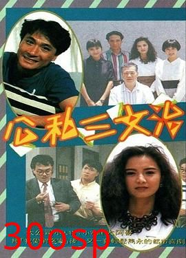 公私三文治粤语