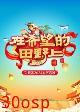 安徽省2024农民春晚