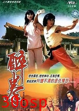 醉拳王无忌国语