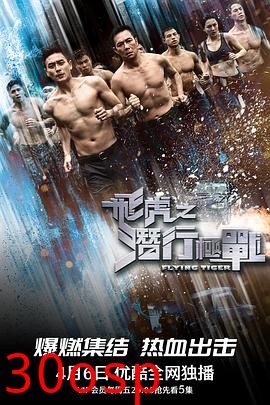 飞虎之潜行极战粤语