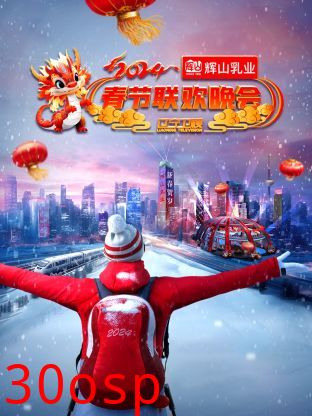 辽宁卫视春节联欢晚会2024