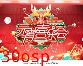 2024湖南卫视芒果TV元宵喜乐会