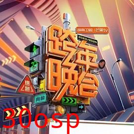 2024湖南卫视芒果TV跨年晚会