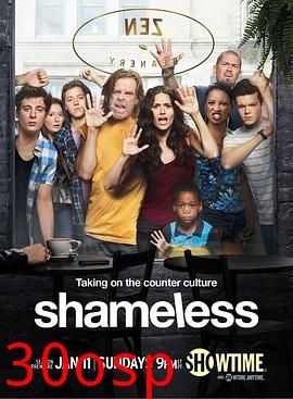 无耻之徒(美版) 第五季