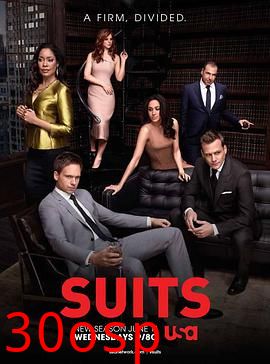 金装律师第四季